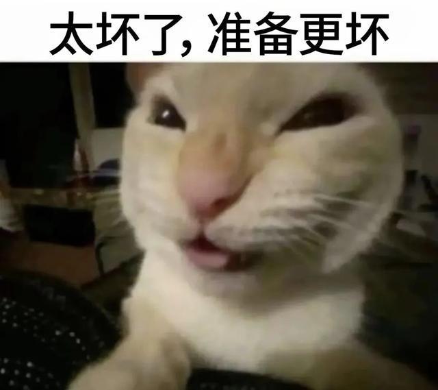 年买不起的1TB价格全崩了凯发k8入口又降500！去(图14)