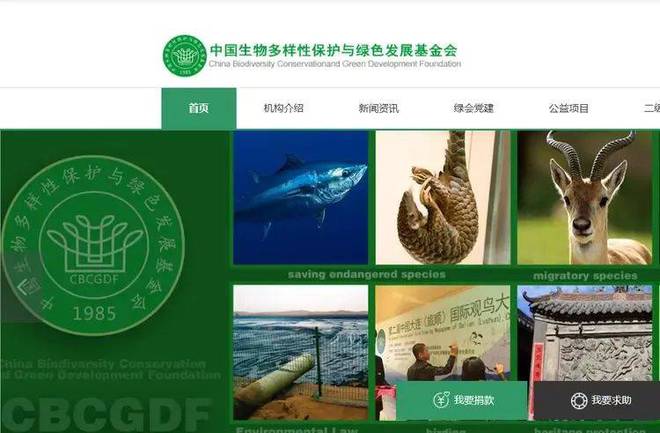 多黑料被扒父亲背景不一般绿发会受牵连凯发K8国际娱乐哈佛蒋雨融事升级！更(图21)